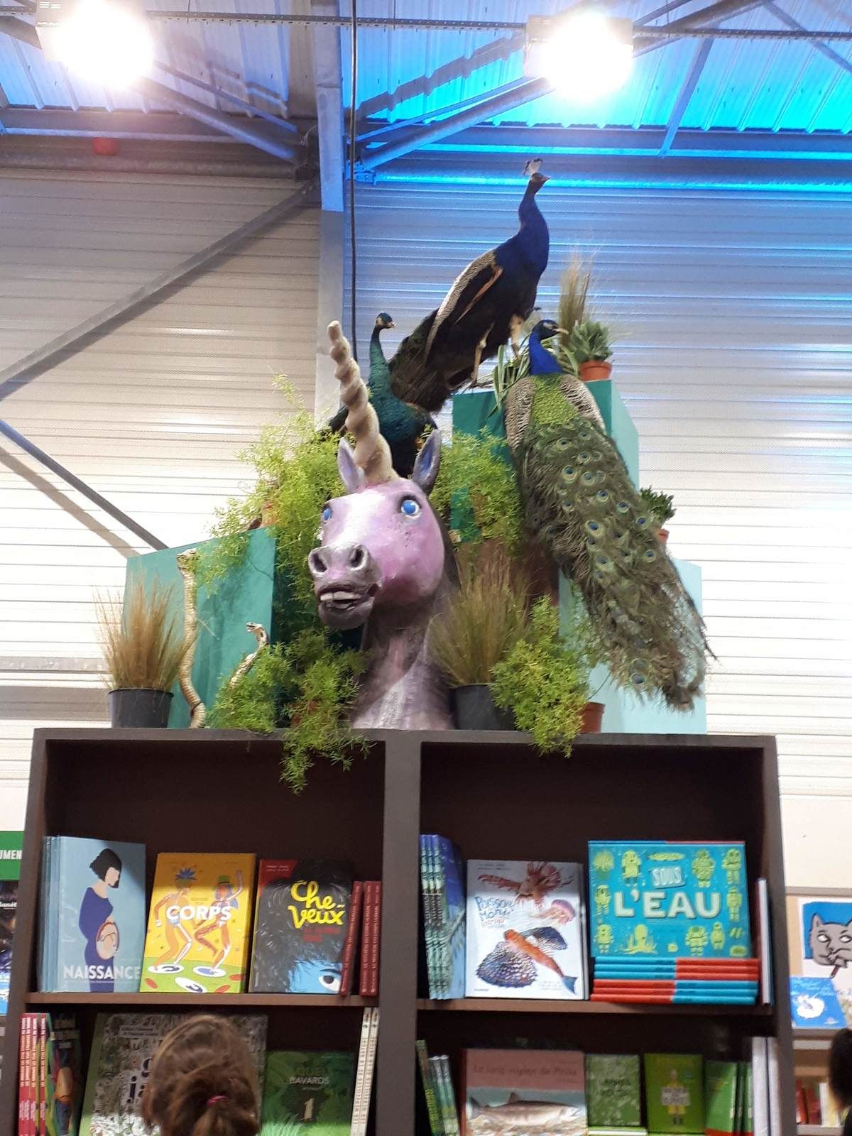 36ème fête du livre de jeunesse