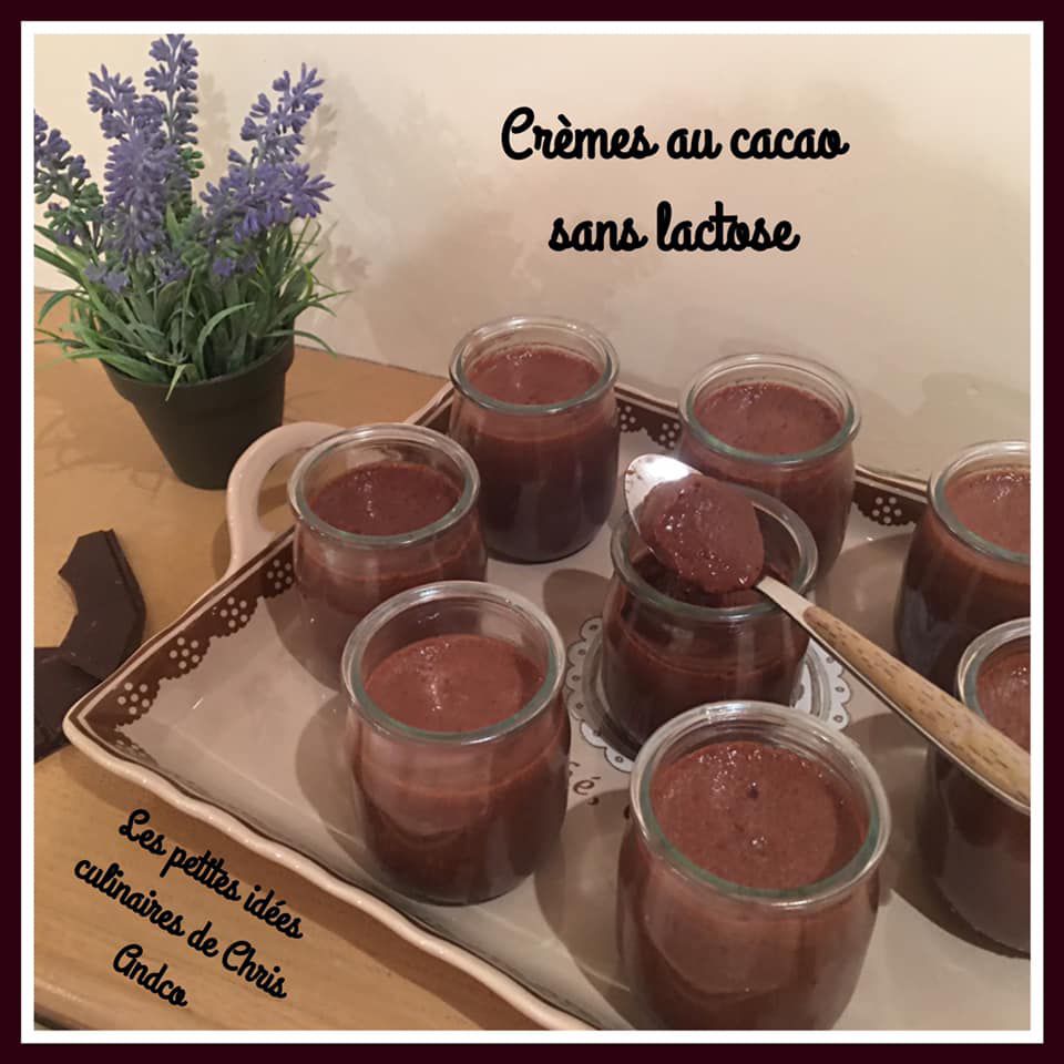 crèmes au cacao sans lactose