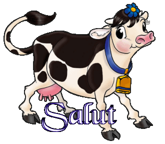 Salut - Vache - Gifs animés