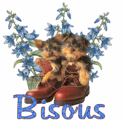 Bisous Chien Chaussures Gif Scintillant Gratuit Le Monde Des Gifs Bisous Chien Chaussures Gif Scintillant Gratuit Le Monde Des Gifs