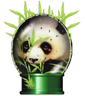 Boule - Coeur - Panda - Gif animé - Gratuit