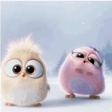 Mignon Le Angry Birds - Film - Cute - Gif animé - Gratuit