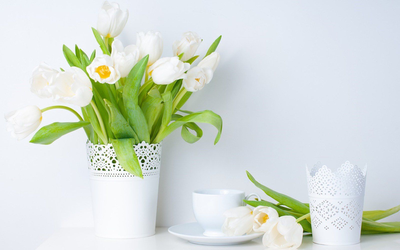 Décoration - Fleurs - Vase - Tulipes - Blanc - Photographie - Wallpaper - Free
