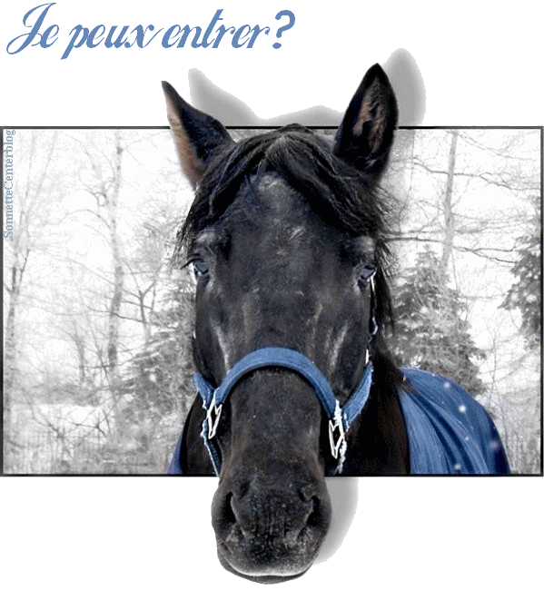 Tendances Pour Gif Anniversaire Avec Cheval Abdofolio Tendances Pour Gif Anniversaire Avec Cheval Abdofolio