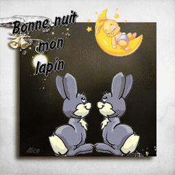 Bonne Nuit Mon Lapin Couple Amour Lune Gif Anime Gratuit Le Monde Des Gifs