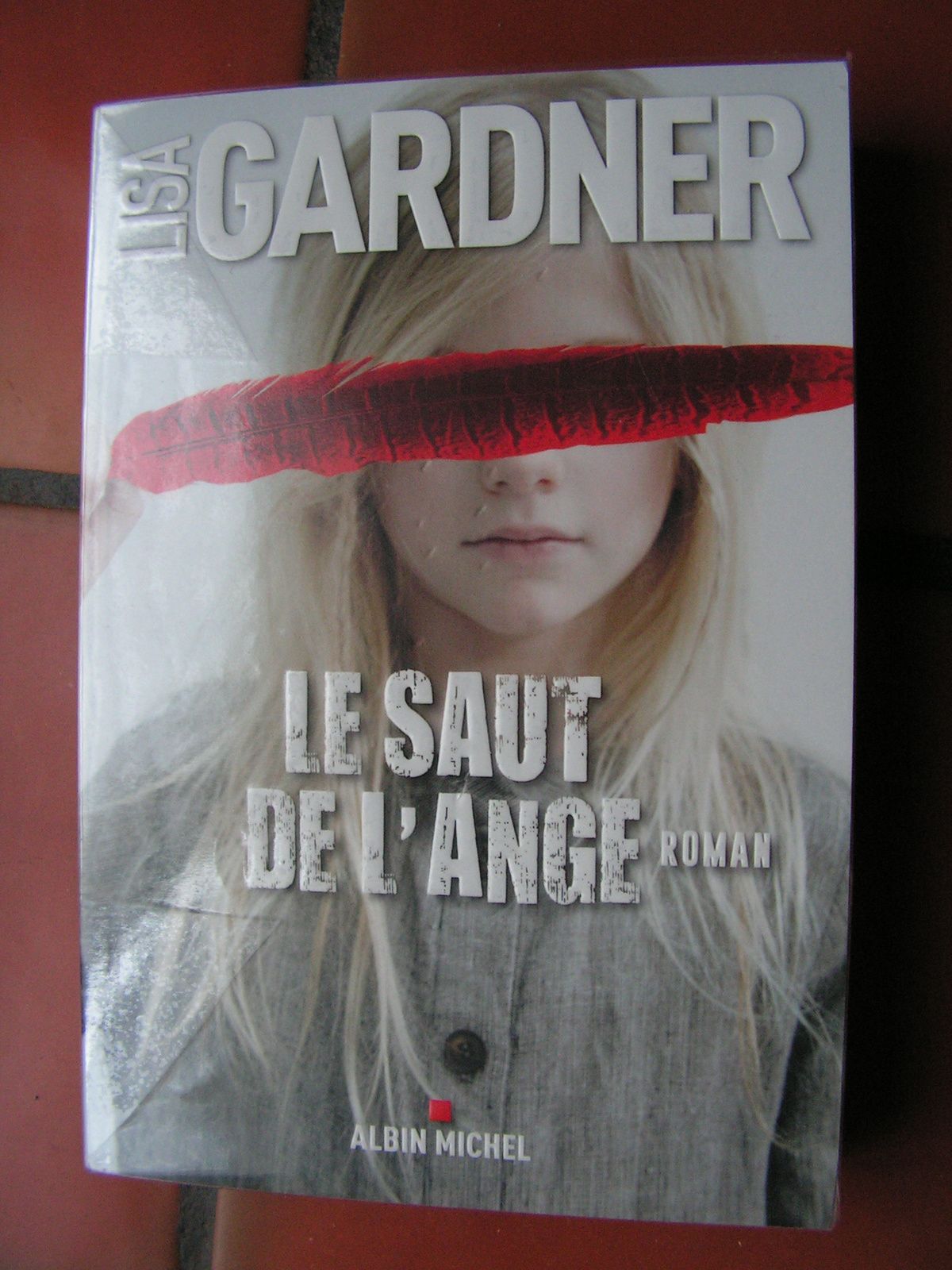 lecture Le saut de l