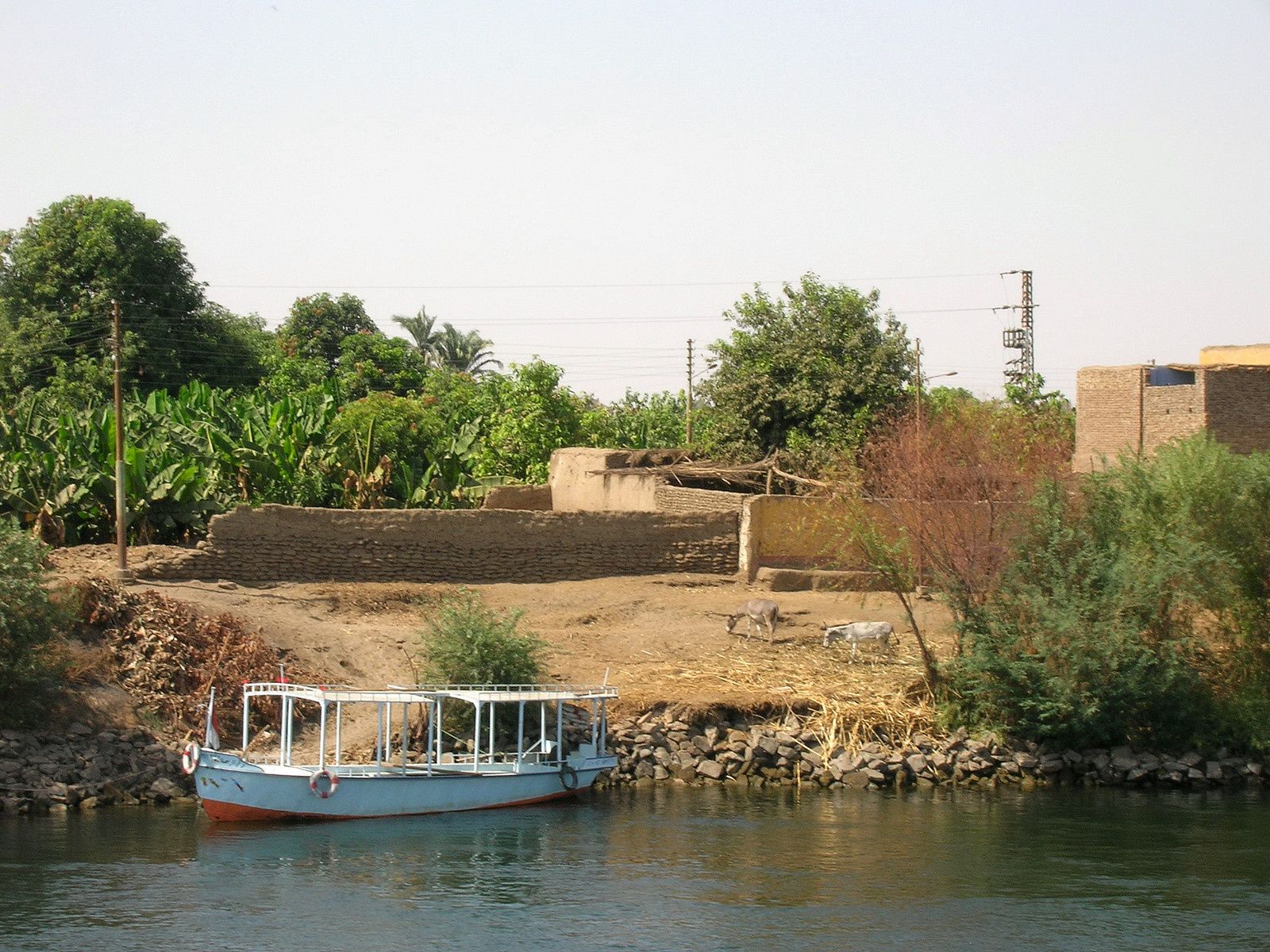 Diaporama : Le Nil entre Kom Ombo et Edfou