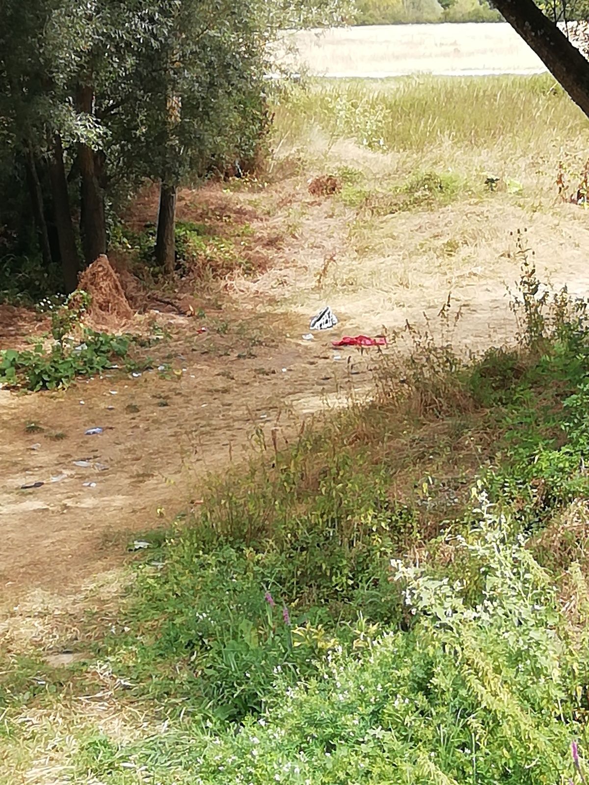 Les gros dégueulasses au bord du Cher