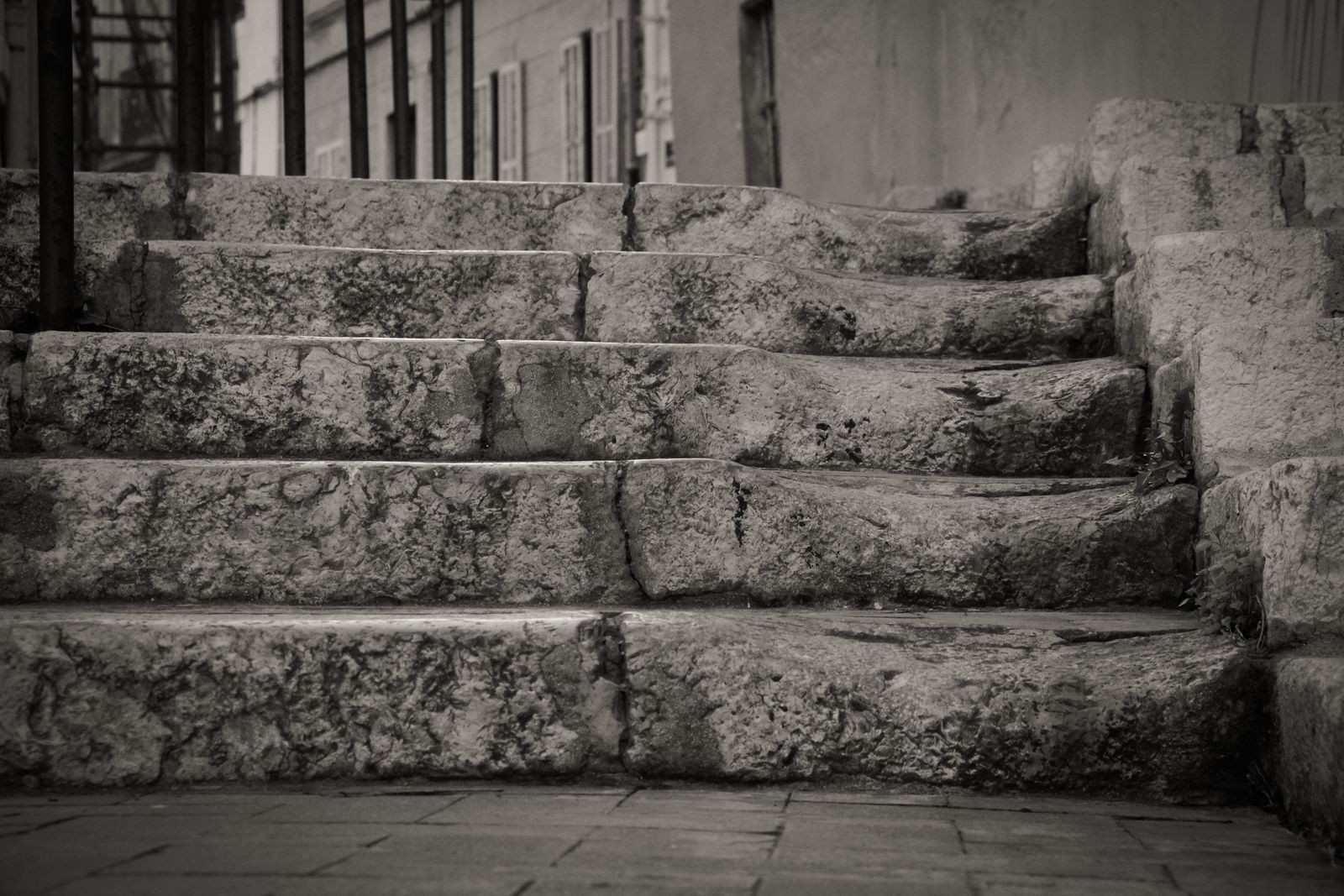 Lili à Marseille et ses environs