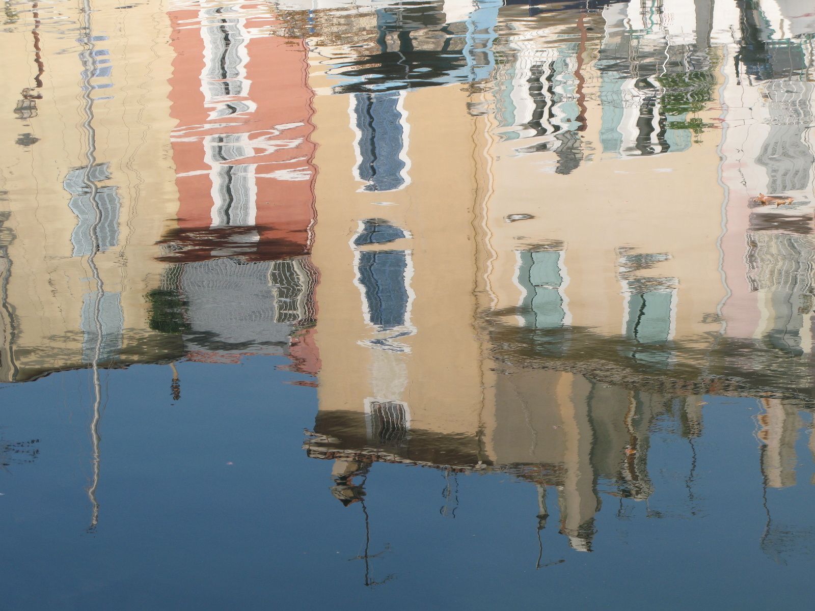 Le Miroir aux Oiseaux