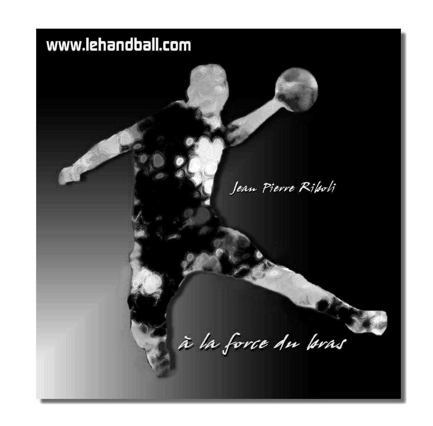 Le diaporama des photos en Noir et Blanc N1 CHAMBERY2 - STRASBOURG 04112017