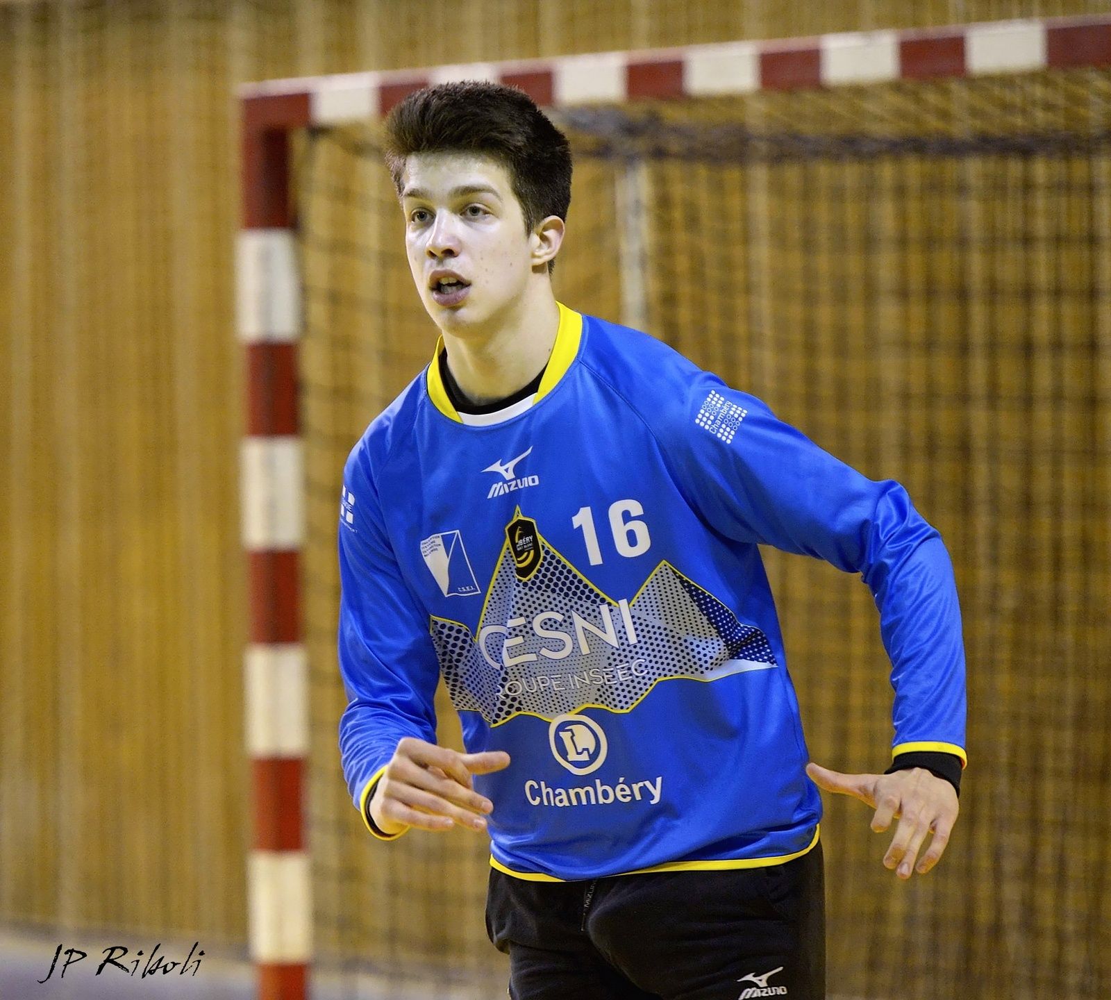Le HANDBALL rétrospective en photo de l’année 2019