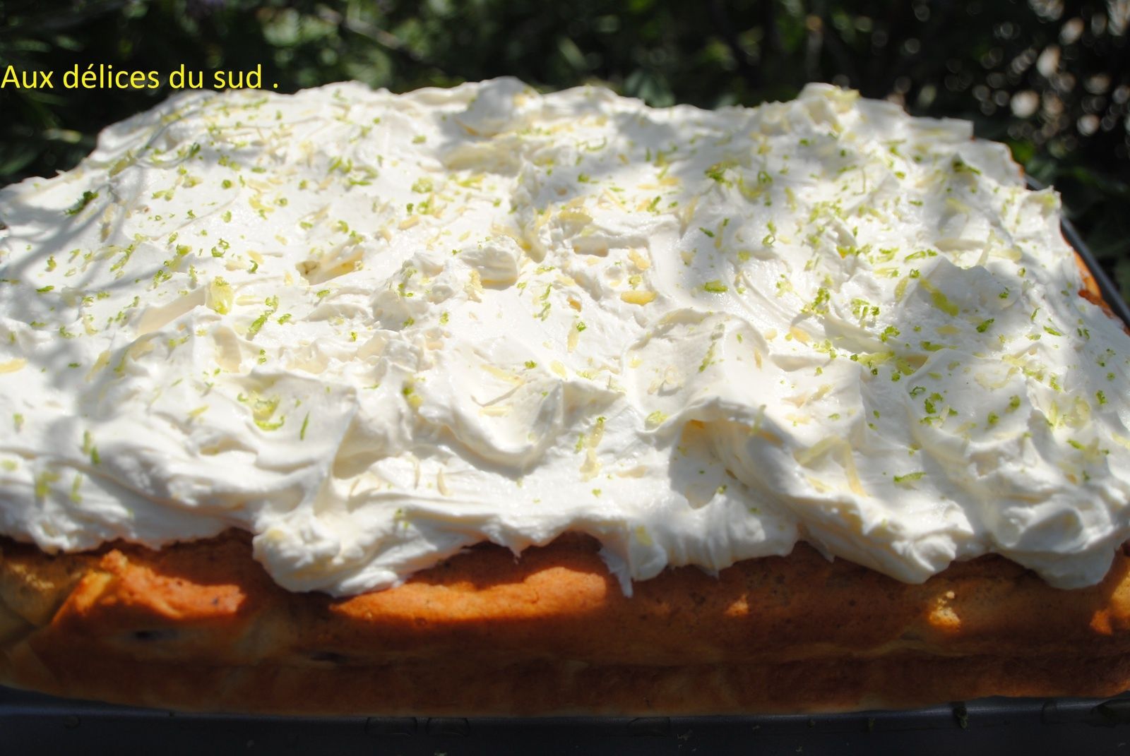 Gateau Magique Mures Noix De Coco Glacage Au Citron Vert Et Jaune Aux Delices Du Sud