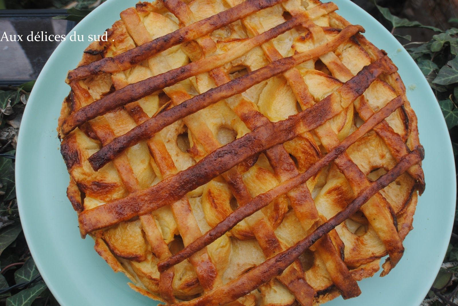 Tarte aux pommes en cage de Jean- François Piège . - Aux délices du sud .