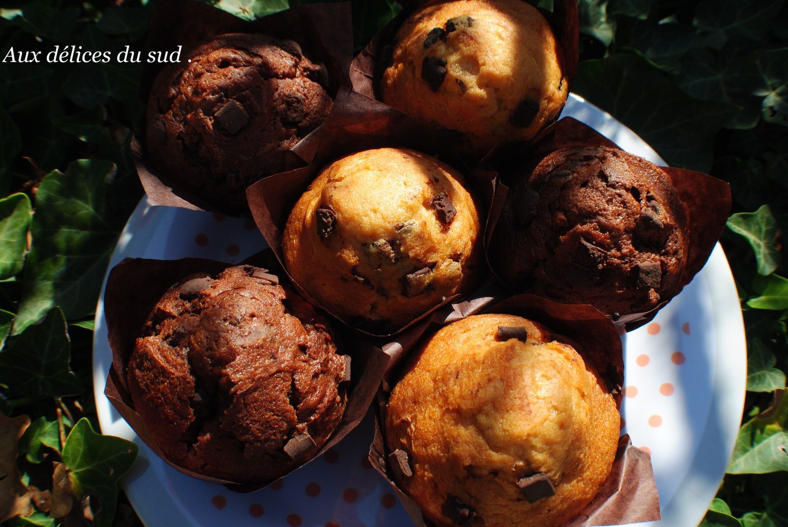 Muffins au chocolat et  vanille aux pépites  . 