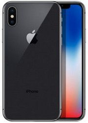 Apple iPhone XXL