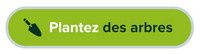planter un arbre