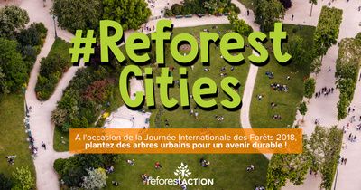 #reforestcities