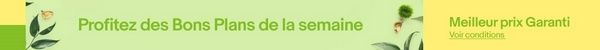 bons plans ebay