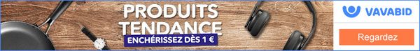 vavabid enchères