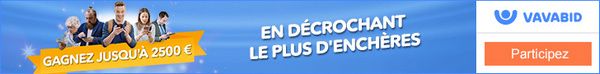 vavabid enchères en ligne