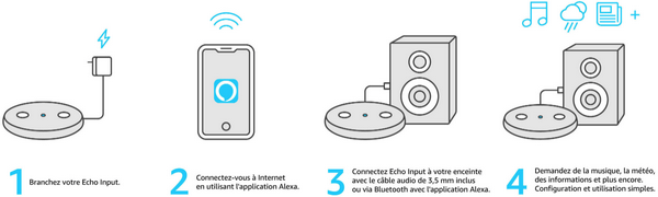 echo-input