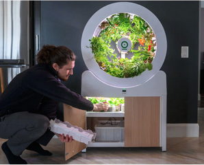 OGarden Smart Indoor Garden