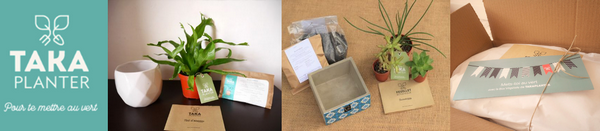 box-vegetale-takaplanter