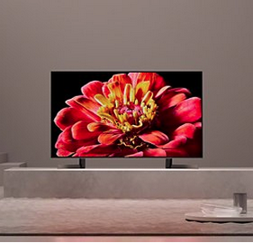 Sony Bravia 2019