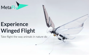 MetaFly le drone oiseau