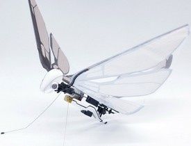 metafly-drone-oiseau