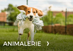 animalerie