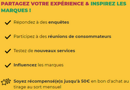 sondages-remuneres-experience-est-a-vous