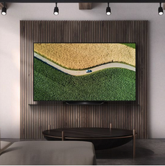 LG OLED65B9