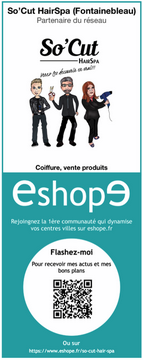 application smartphone eshope