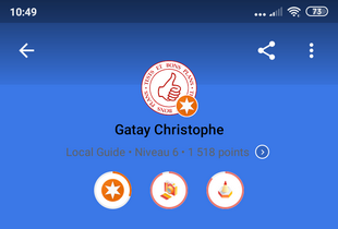 google-local-guide