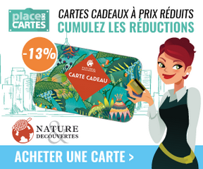 place-des-cartes