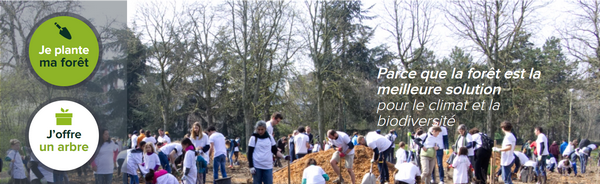 reforest-action