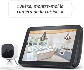 blink-mini-alexa