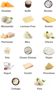 fromaggio-machine-a-fromage-maison