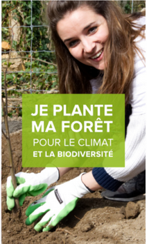 reforestaction-avis