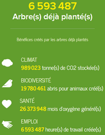 bilan-reforest-action