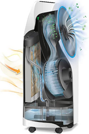 rafraichisseur-air-delonghi-ev250
