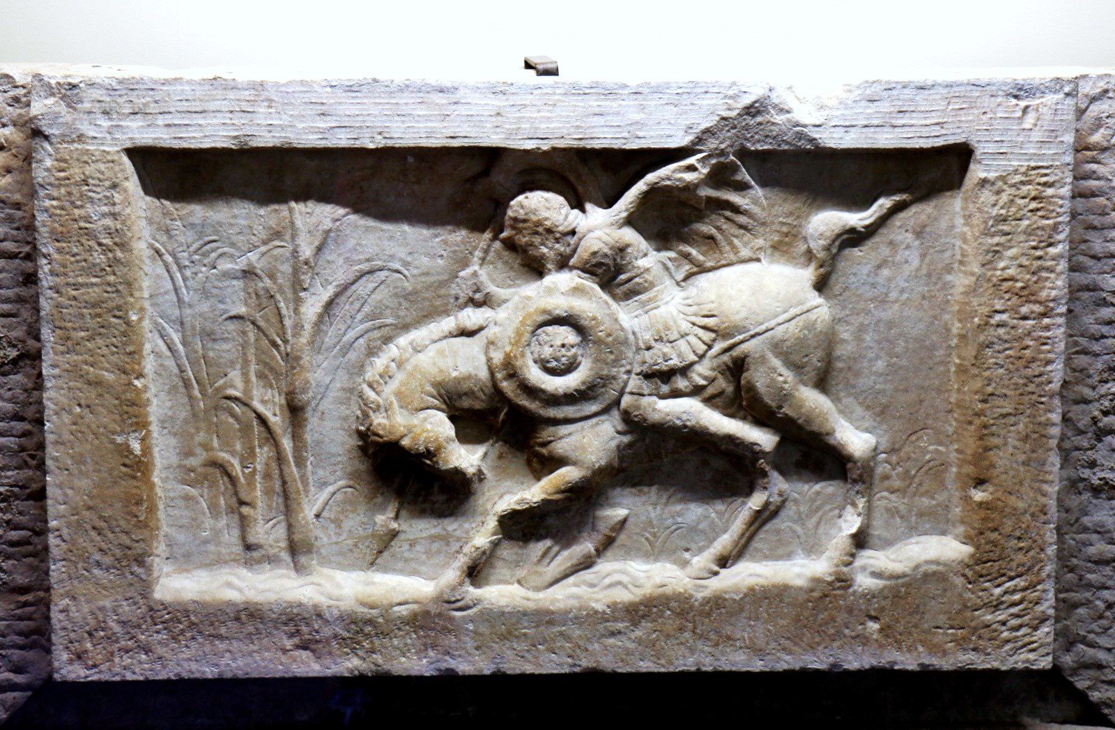 Musée Eros du Colisée de Rome, sculptures