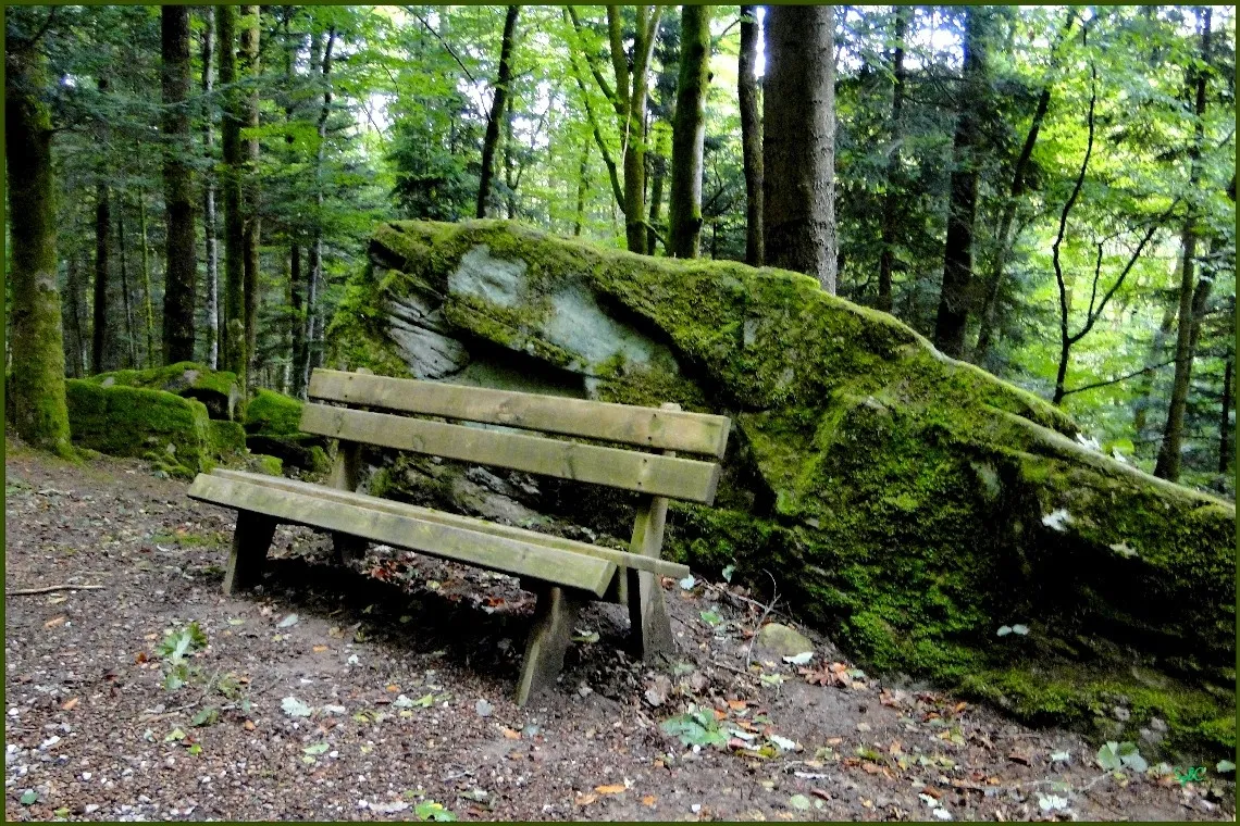 S’asseoir sur un banc… - La nature en photos… le plaisir d’admirer