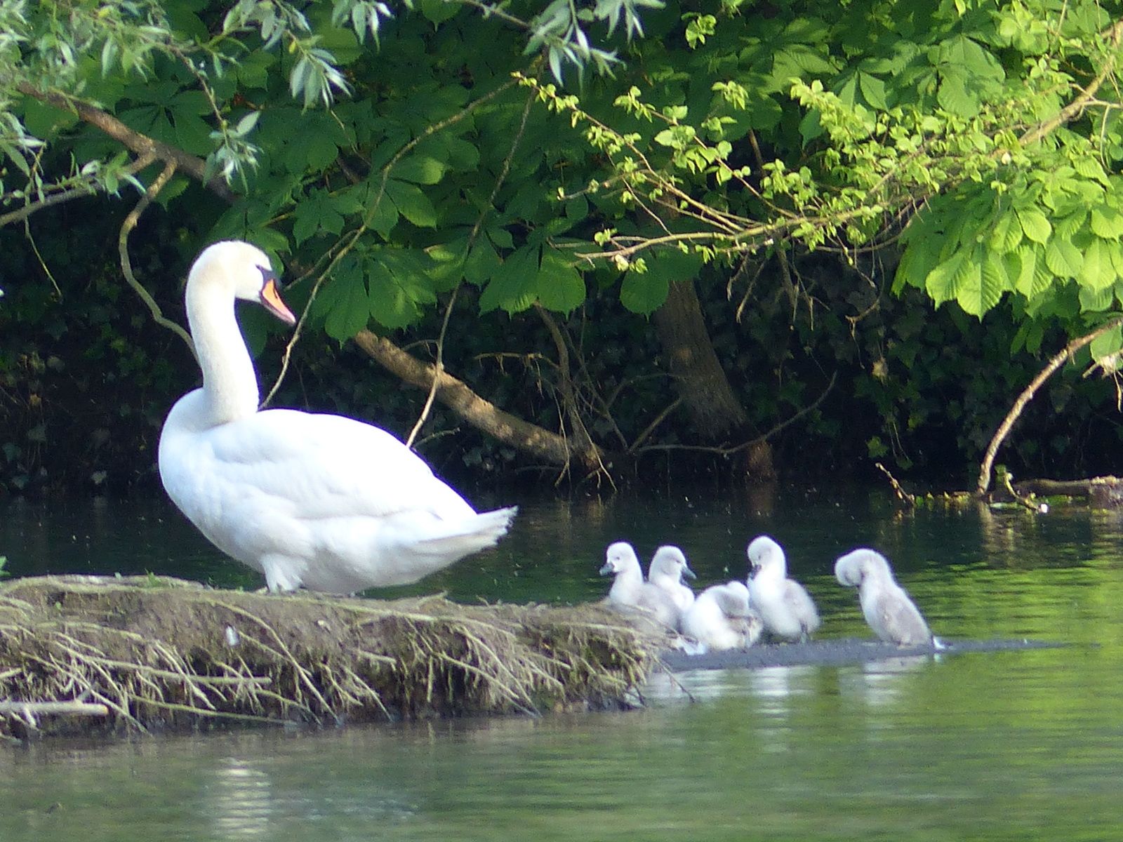  à bord d'eau...