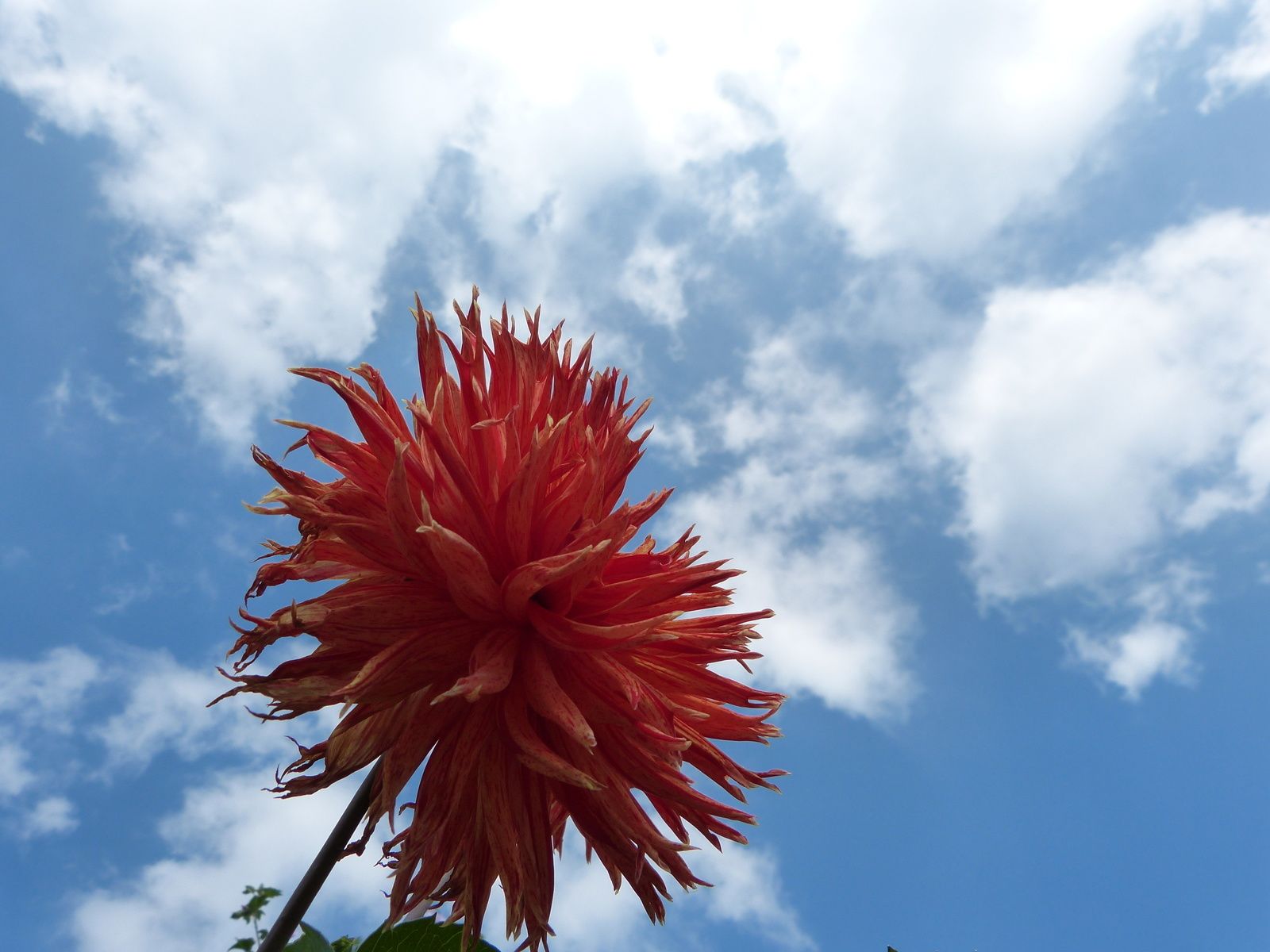 c'est en ce moment même au Jardin des Plantes à PARIS et c'est gratuit....