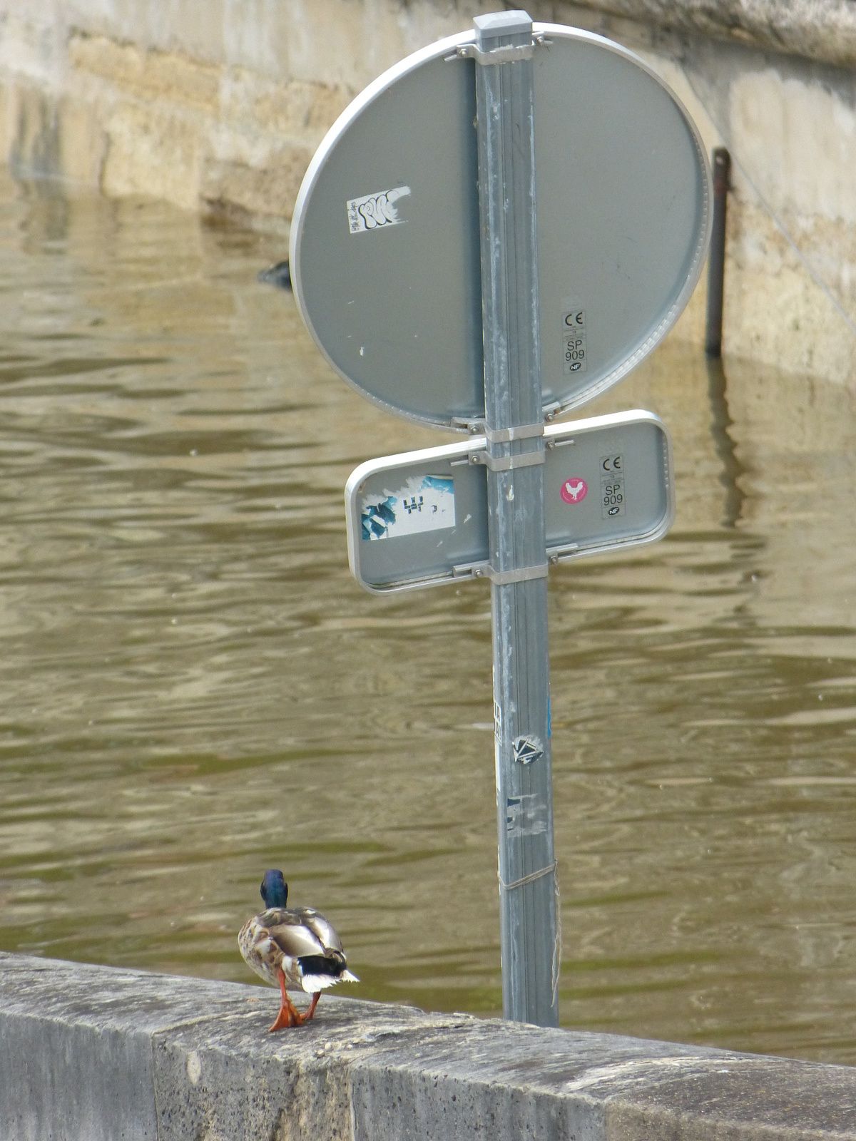 ou l'eusses tu "crue" ....à PARIS /04-06-2016
