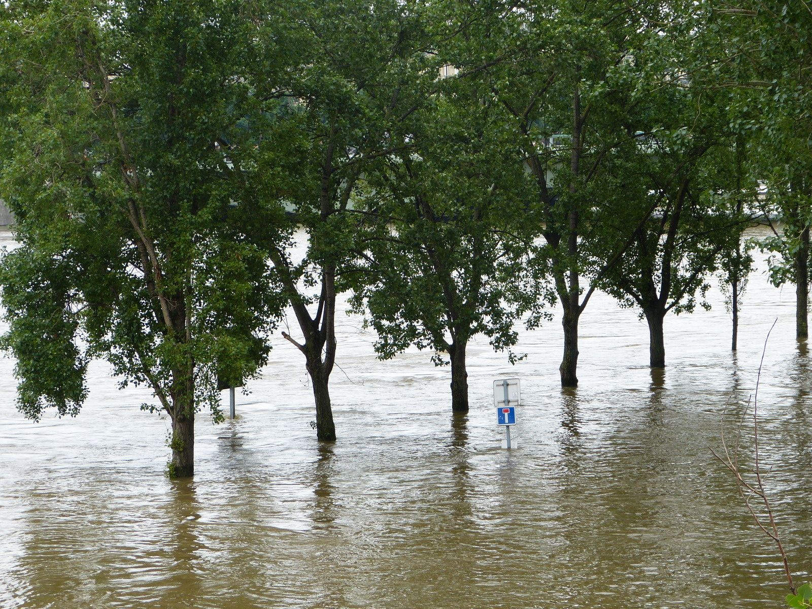 ou l'eusses tu "crue" ....à PARIS /04-06-2016