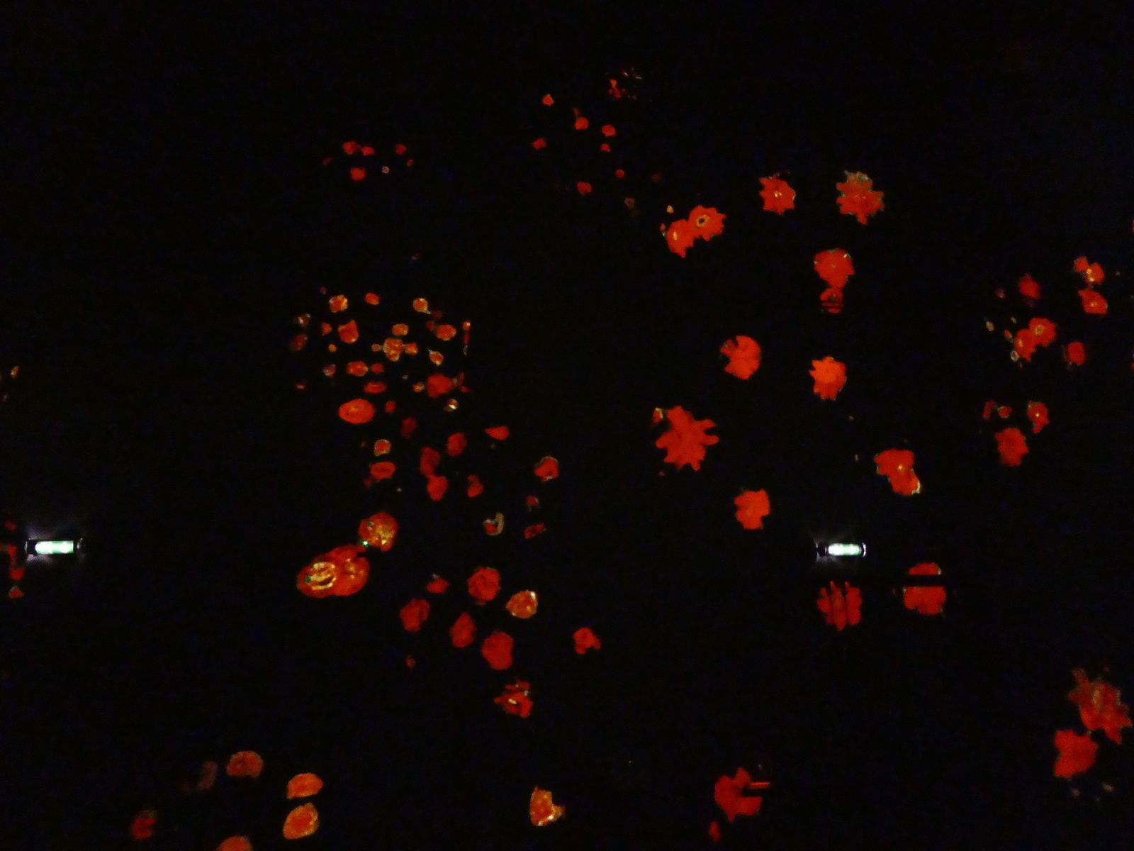 c'est à l'Atelier des lumières 38 rue St Maur 75011 PARIS....c'est à vivre = une immersion dans l'art !